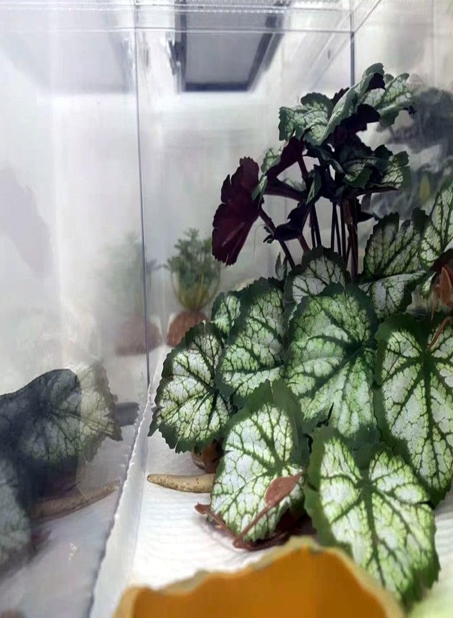 KERUIDENG Reptile Plants for Terrarium Decor,Amphibian Habitat Decor,Artificial Plants for Gecko Chameleon Snake Tortoise Tank Accessories with Base (Green heuchera micrantha) - Image 5